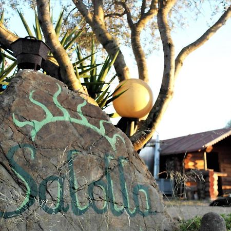 Siliqua Salollaヴィラ エクステリア 写真